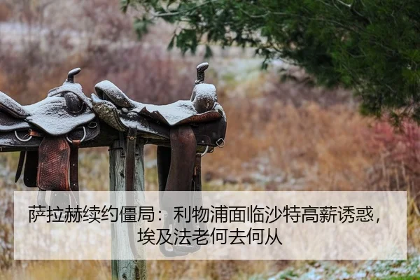 萨拉赫续约僵局：利物浦面临沙特高薪诱惑，埃及法老何去何从