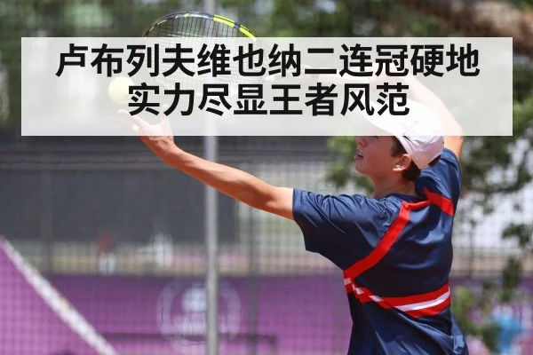 卢布列夫维也纳二连冠硬地实力尽显王者风范